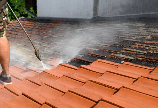 Best Sidewalk Pressure Washing  in East Lake Orient Park, FL