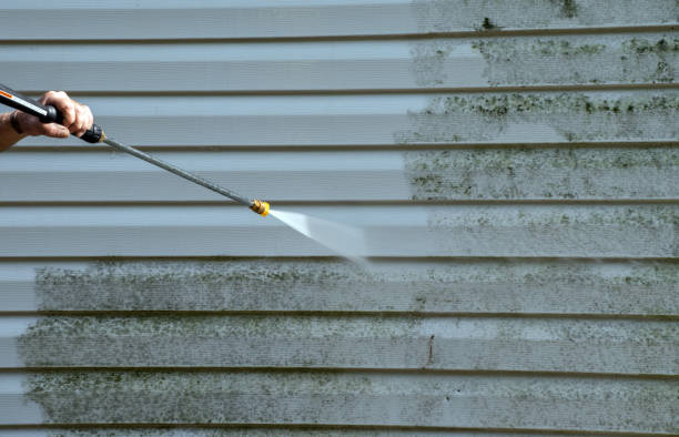 Best Concrete Pressure Washing  in East Lake Orient Park, FL