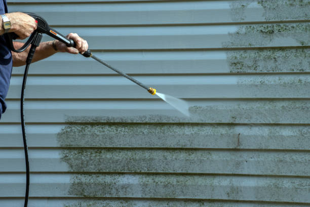Deck Cleaning Services in East Lake Orient Park, FL