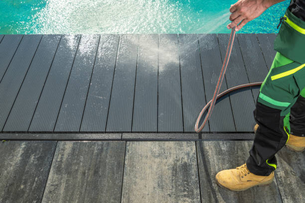 Best Roof Pressure Washing  in East Lake Orient Park, FL