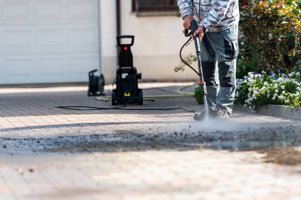 Best Pressure Washing Near Me  in East Lake Orient Park, FL