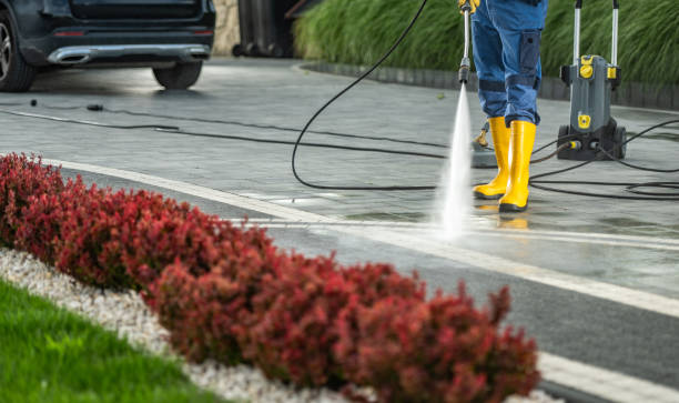 Best Roof Power Washing Services  in East Lake Orient Park, FL