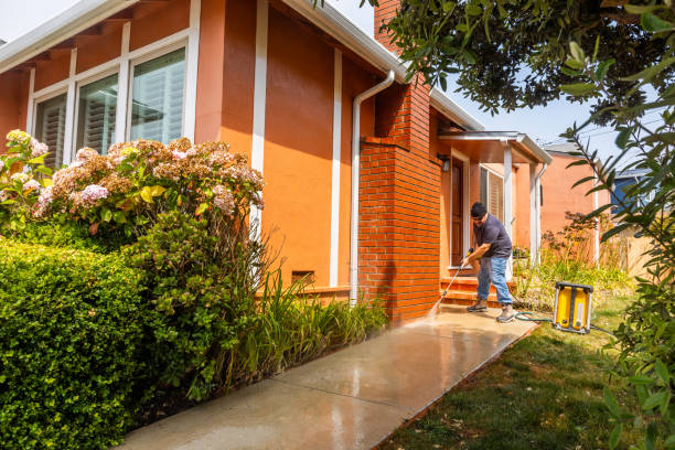 Best Local Pressure Washing Services  in East Lake Orient Park, FL