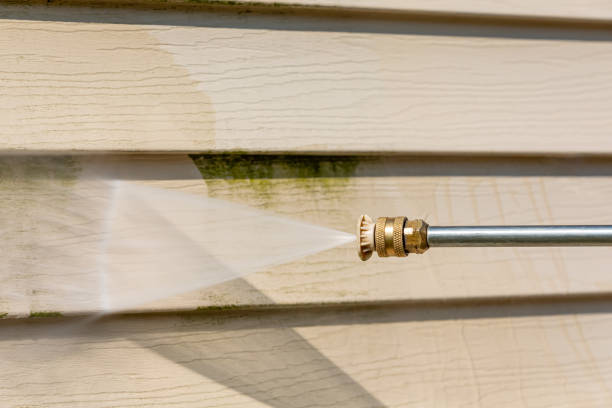 Best House Pressure Washing  in East Lake Orient Park, FL